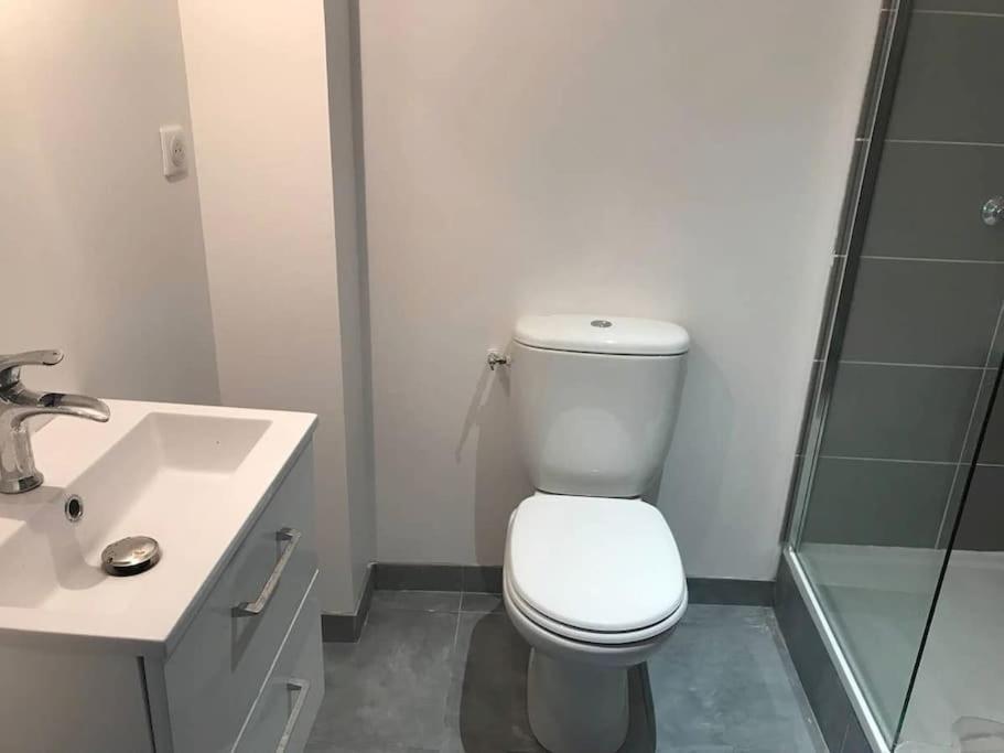 Appartement 10 Pers Face Gare Sncf Appart Hotel Le Cygne A Bourges Dış mekan fotoğraf
