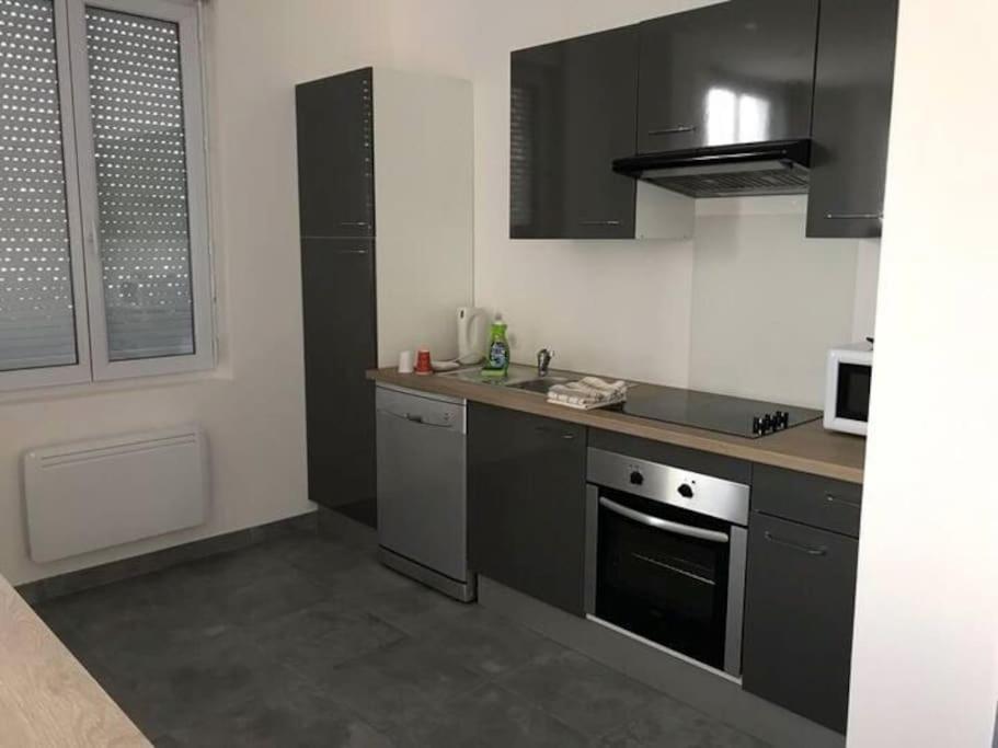 Appartement 10 Pers Face Gare Sncf Appart Hotel Le Cygne A Bourges Dış mekan fotoğraf